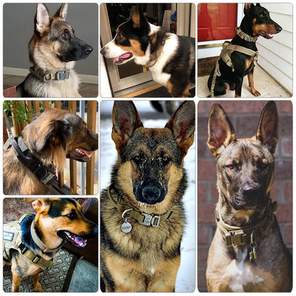 Dog Training Collar For Small Big Dogs