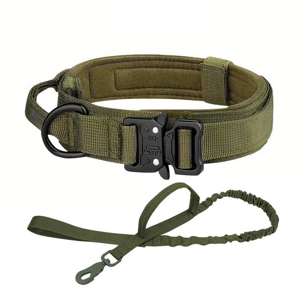 Dog Training Collar For Small Big Dogs