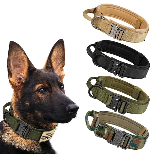 Dog Training Collar For Small Big Dogs