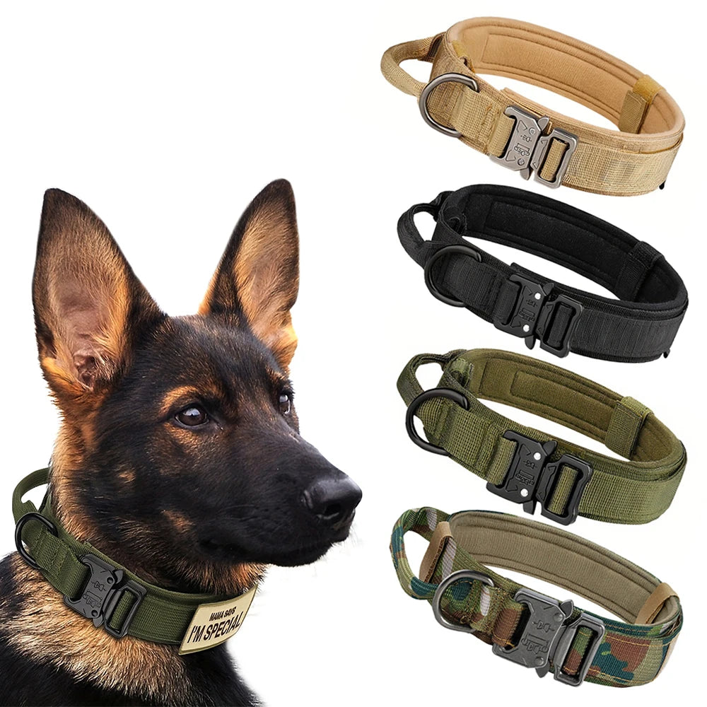 Dog Training Collar For Small Big Dogs