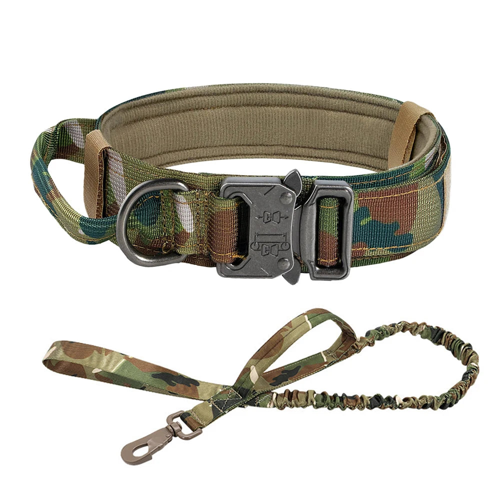 Dog Training Collar For Small Big Dogs